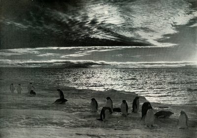 Die Mitternachtssonne im McMurdo-Sund, um 1910-1913, 1913 von Herbert Ponting