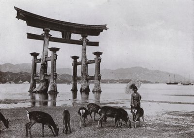 Das alte Torii in Miyajima von Herbert Ponting