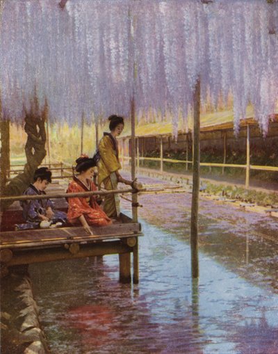 Unter den lila Glyzinien von Herbert Ponting