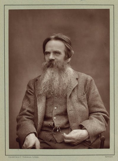 Porträt des Malers William Holman Hunt 1827-1910, ca. 1885 von Herbert Rose Barraud