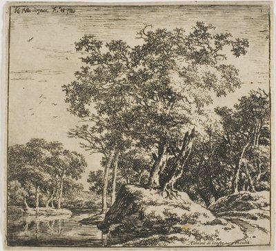Landschaft, aus Satz von Landschaften von Herman Naijwincx