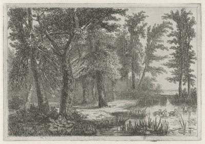 Waldlandschaft mit einem Teich und Enten von Hermanus Jan Hendrik van Rijkelijkhuysen