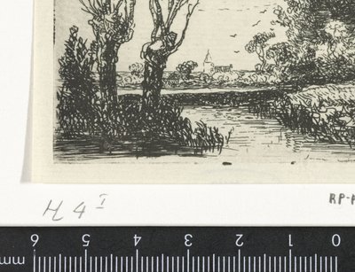 Landschaft mit zwei Kopfweiden von Hermanus Jan Hendrik van Rijkelijkhuysen