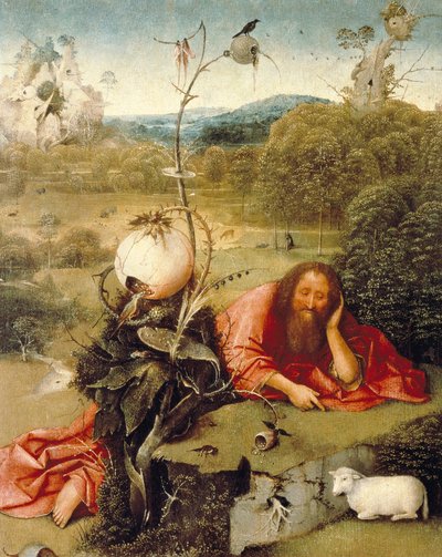 Johannes der Täufer schlief in der Natur von Hieronymus Bosch