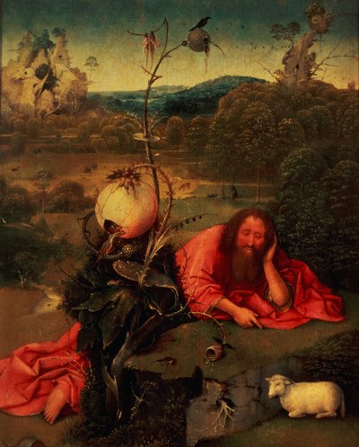 Johannes der Täufer in Meditation von Hieronymus Bosch