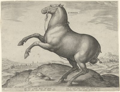Pferd aus Skythien von Hieronymus Wierix