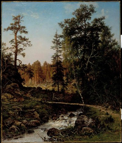 Eine Waldlandschaft aus Hauho von Hjalmar Munsterhjelm