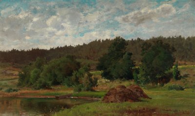 Landschaft am See von Hjalmar Munsterhjelm