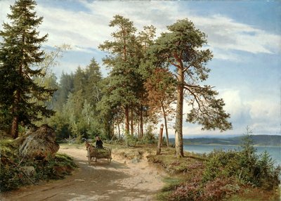 Straße in Finnland von Hjalmar Munsterhjelm
