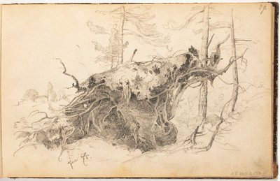 Ohne Titel von Hjalmar Munsterhjelm