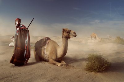 Arabischer Wüstenreisender von Hussain Buhligaha