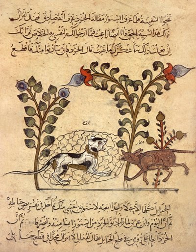 Die Katze und die Ratte, arabische Miniatur aus "Kalila va dimna" von Indian School