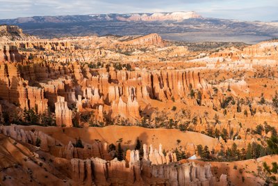 Hoodoos - durch Erosion entstandene Türme - im Bryce Canyon Nationalpark in Utah, 2019 von Ira Block