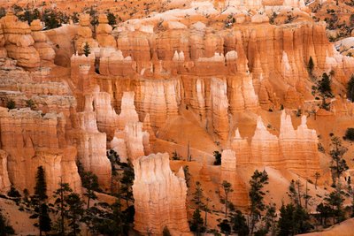 Hoodoos - durch Erosion entstandene Türme - im Bryce Canyon Nationalpark in Utah, 2019 von Ira Block
