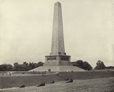 Das Wellington-Denkmal, Phoenix Park von Irish Photographer