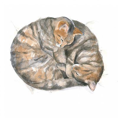 Runde Katzen von Isabelle Brent
