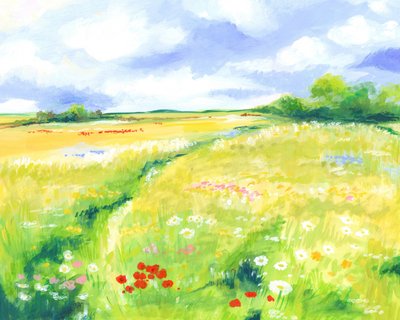 Wildblumenwiese von Isabelle Brent