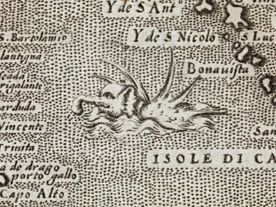 (Detail) eines See-Elefanten mit beeindruckenden Stacheln auf dem Rücken, aus 