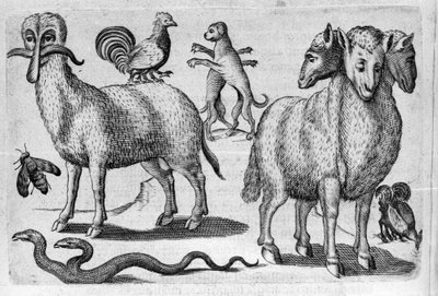 Verschiedene Arten monströser Tiere, mit mehreren Körpern oder einer abnormalen Anzahl von Gliedmaßen. Stich aus „De monstrorum natura, causis et differentiis“ von Fortunio Liceti (1577-1656), italienischer Wissenschaftler. 1646 von Italian School