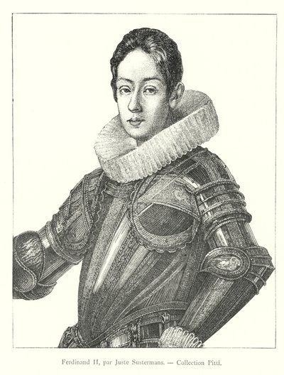 Ferdinand II., Sammlung Pitti (Stich) von Italian School