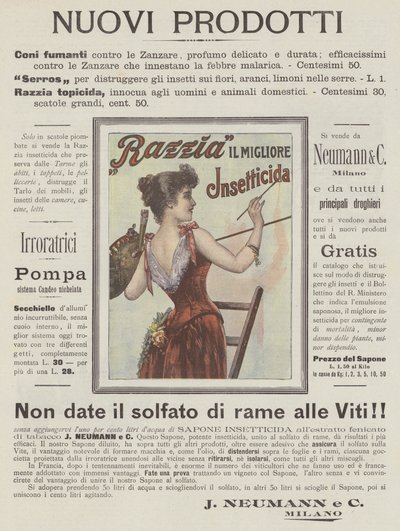 J Neumann und C von Italian School