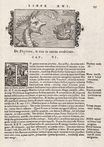 Seite 735 aus Historia De Gentivus Septentrionalibus von Magnus Olaus, Rom 1565 von Italian School