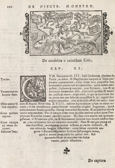 Seite 740 aus Historia De Gentivus Septentrionalibus von Magnus Olaus, Rom 1565 von Italian School