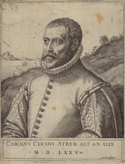 Porträt von Carolus Clusius von Italian School