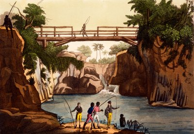 Fluss Roccie bei San Benedetto, Insel Madagaskar, aus Costumi dei... von Giulio Ferrario, ca. 1820er-30er Jahre von Italian School