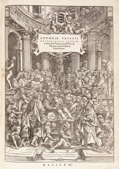 Der Autor führt eine anatomische Dissektion in einem Operationssaal durch, 1543 von Italian School