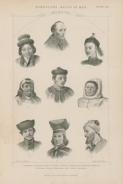 Neun Gesichter verschiedener mongolischer Rassen von J.L. Williams