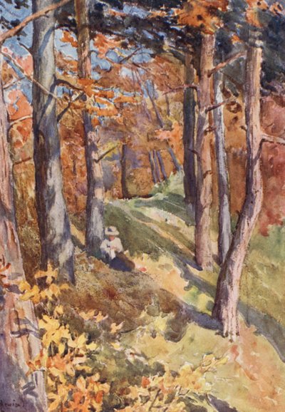 Im Wald von Sauvabelin, oberhalb von Lausanne von J. Hardwicke Lewis