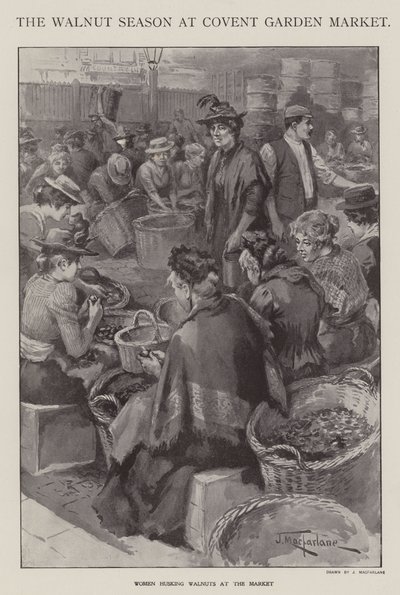 Die Walnuss-Saison auf dem Covent Garden Market, London von J. Macfarlane
