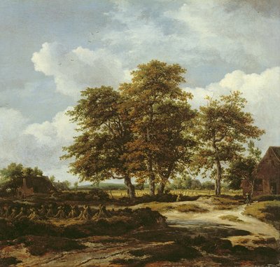 Waldlandschaft mit Kornfeldern, ca. 1655-60 von Jacob Isaaksz. or Isaacksz. van Ruisdael