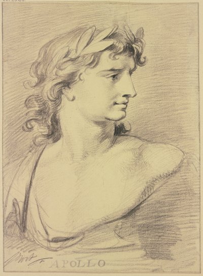 Büste des Apollo von Jacob de Wit