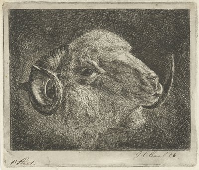 Kopf eines Widders mit nach hinten gedrehten Hörnern von Jacobus Cornelis Gaal (signed by artist)