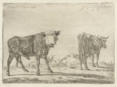 Geknebelter Stier bei einer Rinderherde von Jacobus Cornelis Gaal