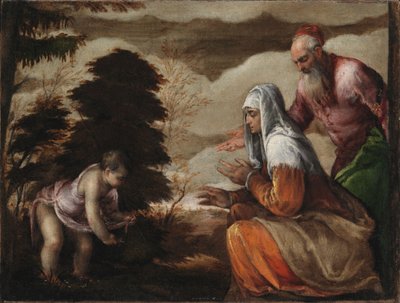 Johannes der Täufer sammelt Blumen für seine Eltern von Jacopo Bassano