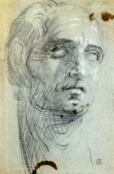 Männlicher Kopf von Jacopo Robusti Tintoretto