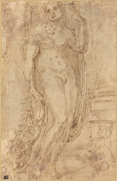 Allegorische Figur mit einer Katze und einem Schwein, um 1530 von Jacopo di Giovanni di Francesco