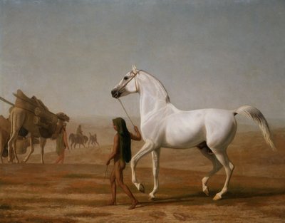 Der Wellesley Grey Araber durch die Wüste geführt von Jacques-Laurent Agasse