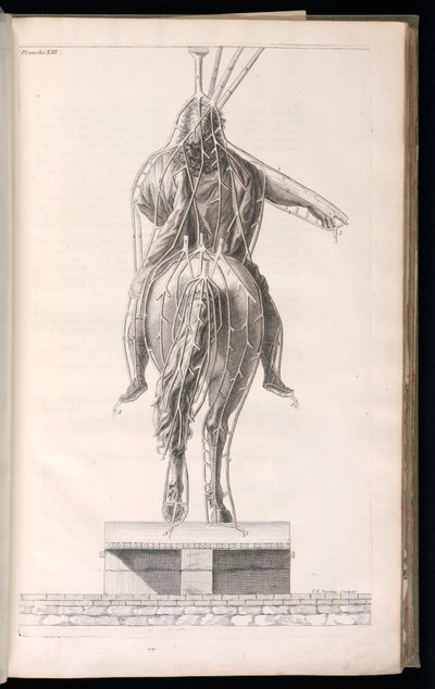 Gebundener Druck (Frankreich) von Jacques François Blondel