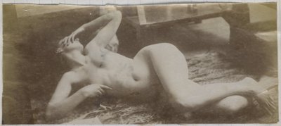 Studie eines weiblichen Aktmodells, auf einem Tigerfell liegend, im Atelier von Jacques de Lalaing von Jacques Lalaing (attributed to)