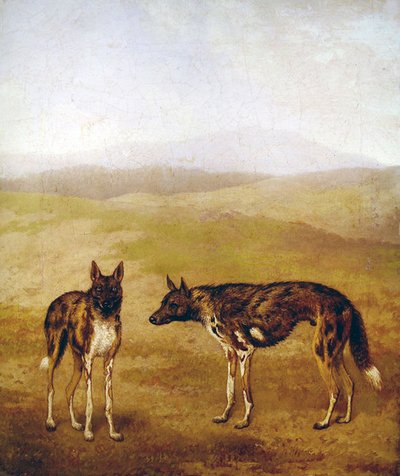 Zwei afrikanische Jagdhunde von Jacques Laurent Agasse