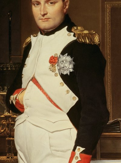 Detail von Der Kaiser Napoleon in seinem Arbeitszimmer in den Tuilerien (Detail) von Jacques Louis David