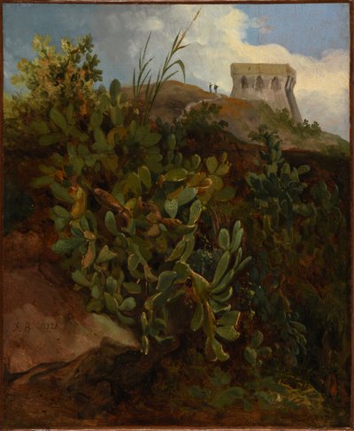 Turm und Kaktus von Jacques Raymond Brascassat