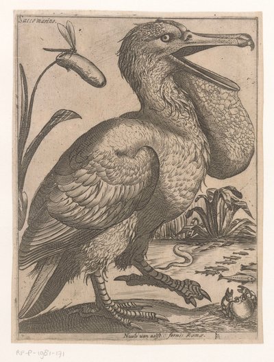 Wasservogel von Jacques de Fornazeris