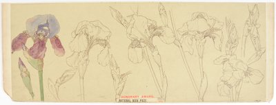 Botanische Studien von James Atherton