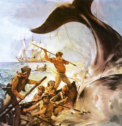 Peter der Walfänger von James Edwin McConnell