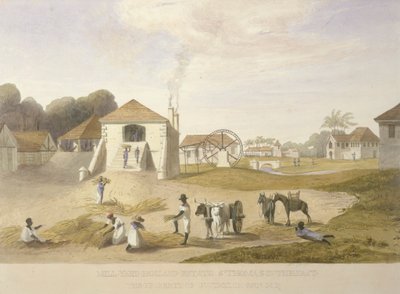 Mühlenhof, Holland Estate, St. Thomas im Osten von James Hakewill